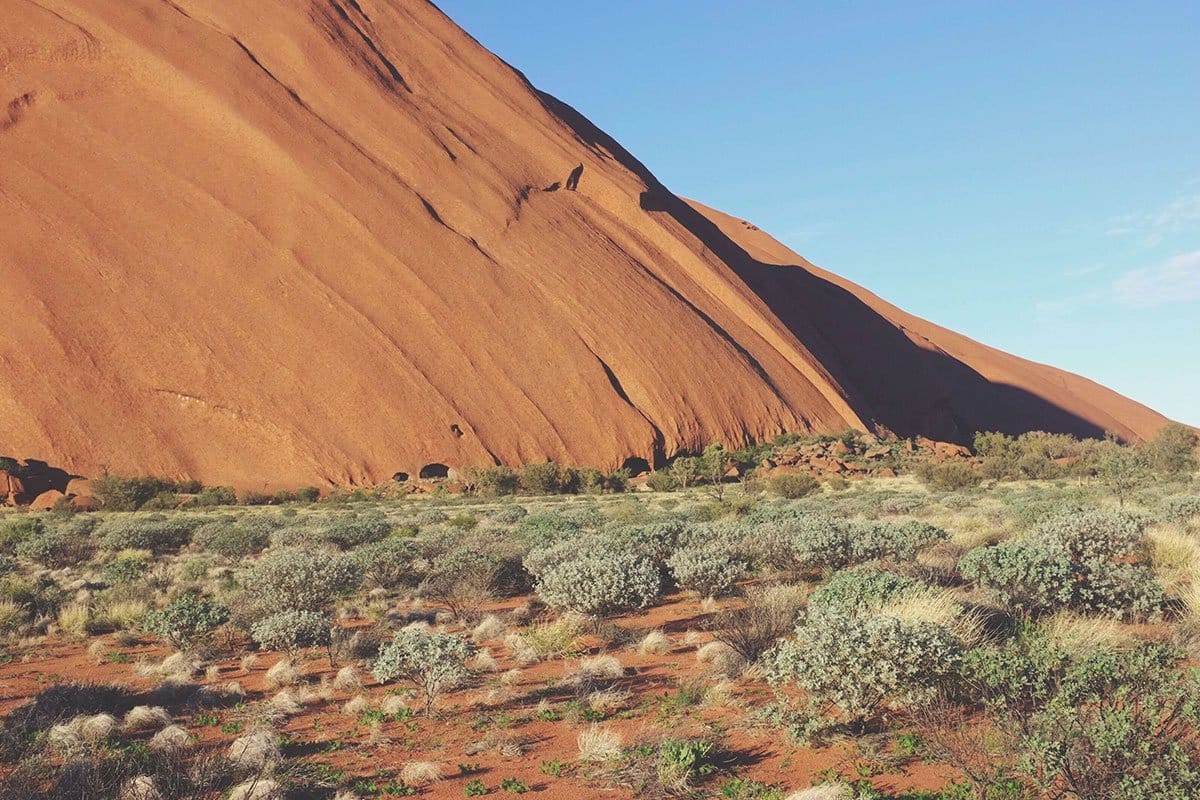 Nullam eget enim fringilla